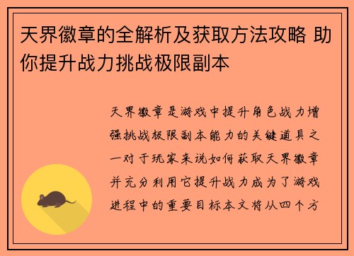 天界徽章的全解析及获取方法攻略 助你提升战力挑战极限副本